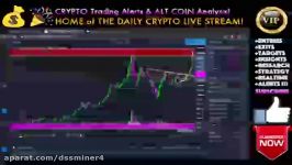 dssminer.com Bitcoin READY FOR 16000 OR DUMP  LIVE Crypto Trading Analysis