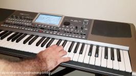 Pedram MP9 With Korg Pa900