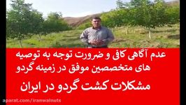 ایران گردو  گردوی پیونید  چندلر  درخت گردو  باغ گردو  احداث باغ گردو