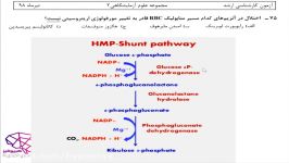 خون شناسی کارشناسی ارشد علوم آزمایشگاهی 2 ۹۸