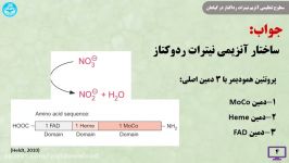 سطوح تنظیم آنزیم نیترات ردوکتاز