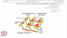 میکروب شناسی کارشناسی ارشد علوم آزمایشگاهی 1 ۹۸