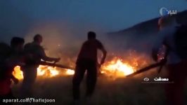 ادامه آتش‌سوزی در جنگل‌ها مراتع شهرستان کهگیلویه