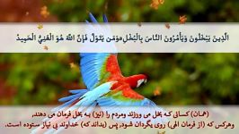 سوره حدید آیه 20 الی 29 صدا قاری بزرگوار سعدالغامدی