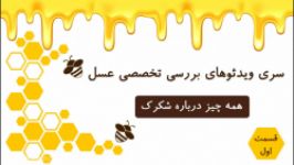 شکرک زدن عسل نشانه چیست، آیا عسل طبیعی شکرک می زند؟