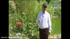 جاذبه های گردشگری ایلام بخش کارزان  روستای رشه چنی قسمت دوم