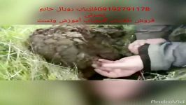 خرید وفروش بهترین سیستمهای اورجینال طلایاب ، گنجیاب مهندس نصرتی ۰۹۱۹۲۷۹۱۱۷۸