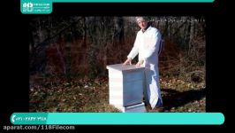 آموزش زنبورداری  پرورش زنبور عسل  زنبورداری مدرن  ساخت کندو  ساخت کندو عسل