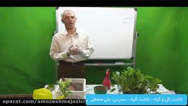 کاشت گل گیاه  کاشت گیاه  مدرّس آقای صادقی  جلسه دوم