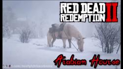 مکان اسب عربی  Arabian Hourse در Red Dead Redemption 2