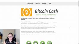 dssminer.com BITCOIN CASH FAILURE AND CRASH   HOW TO CLAIM YOUR BITCOIN CASH