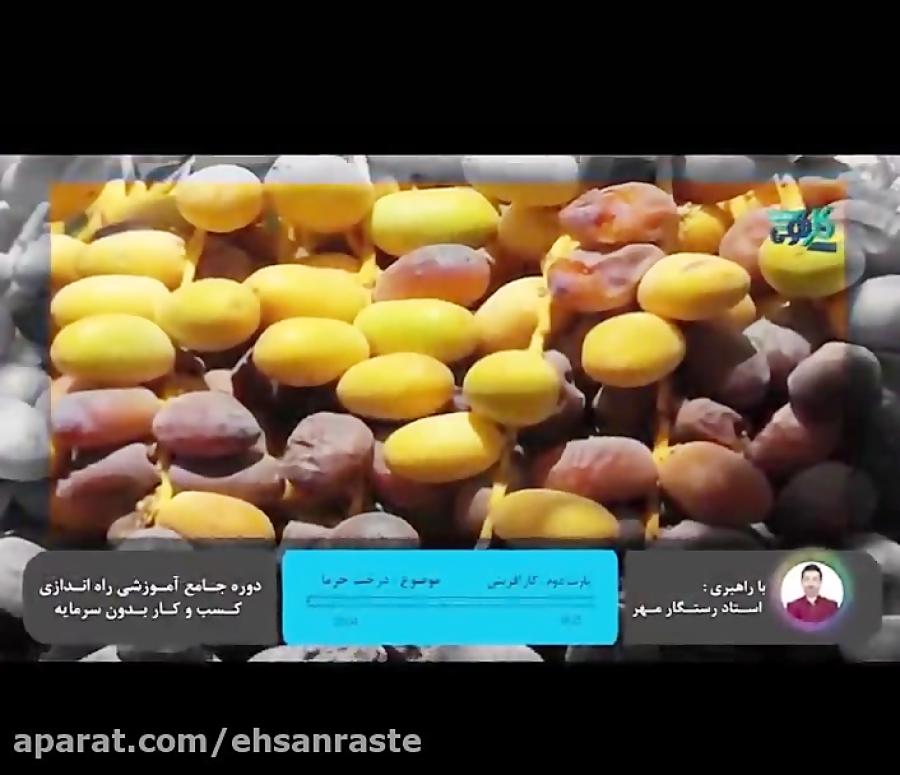 طرح ایده شغلی درآمدزائی درخت نخل خرما 