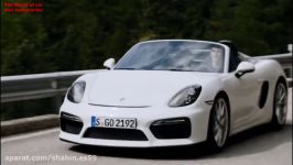 Porsche Boxster 981 Spyder