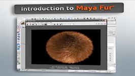 Digital Tutors  Introduction to Maya Fur 2010