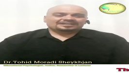 The Music of Silence  by Dr.Tohid Moradi Sheykhjan