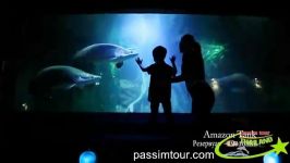 دنیای زیر آب پاتایاتایلند underwater world pattaya