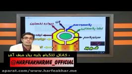 تدریس زیست گیاهی حرف آخر   آوندچوبی استادروان