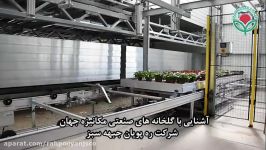 جابجایی اتوماتیک گلدان ها در گلخانه های فول مکانیزه