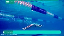 آموزش شنا حرفه ای  شنای کرال سینه  شنا قورباغه  شنای کرال پشت 02128423118