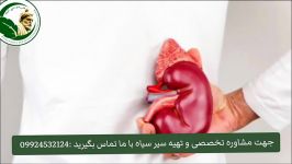 درمان کولیت روده ibd سیرسیاه