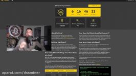 dssminer.com Bitcoin 80 Crash nach dem Halving