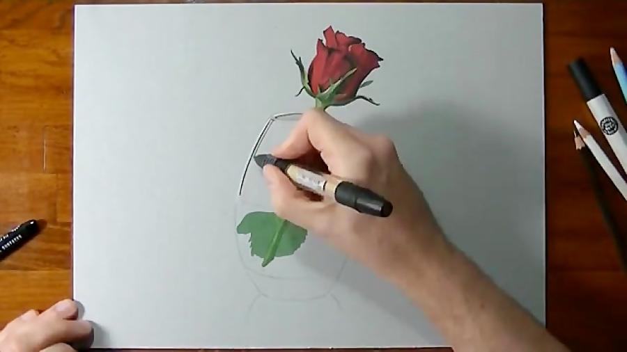 Drawing Time Lapes Red Rose