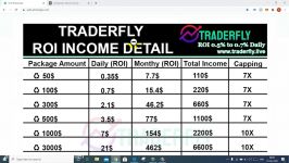 dssminer.com Traderfly Roi Income Detail Earn Without Referral Income Unlimited