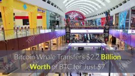 dssminer.com #CryptoFuture #Bitcoin #CryptoCurrency bitcoin whale transfers 22 b