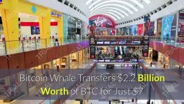 dssminer.com #CryptoFuture #Bitcoin #CryptoCurrency bitcoin whale transfers 22 b