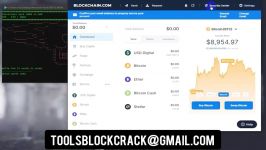 dssminer.com Bitcoin Miner Software Blockchain wallet hack  Blockchain Hack 2