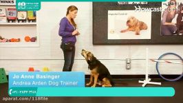 آموزش تربیت سگ  تربیت سگ نگهبان  سگ شکاری آموزش غلت زدن به سگ 28423118 021