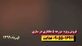 فروش مزرعه ۵ هکتاری در ساری همراه تجهیزات مانند تراکتور ،پیکان وانت ،ژنراتور