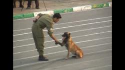 سگ های پلیس یگان ویژه پاسداران ناجا