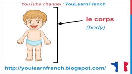 BODY PARTS French Vocabulary Parties du corps