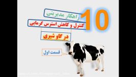 دامپروری ایده  10 راهکار کنترل کاهش استرس گرمایی در گاو شیری  قسمت اول