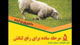 دامپروری ایده  5 راه حل ساده برای رفع لنگش