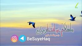 به اسلام خود افتخار میکنم