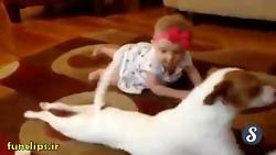 سگه داره به بچه تاتی تاتی کردن رو یاد میده