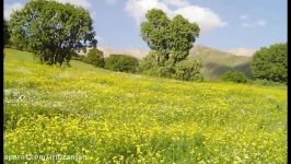 سلام زنجان رادیو زنجان