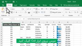 کاربرد گروه ابزار Clipboard در اکسل