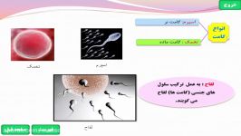 تدریس علوم تجربی پایه هشتم فصل ۸ تولید مثل جنسی در جانوران گیاهان