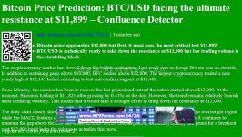 dssminer.com cloudmining and automated trader BOT Bitcoin Price Prediction  B