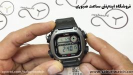 کارایی تنظیم ساعت کاسیو مدل DW 291H 1AVDF