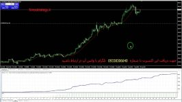  اکسپرت خارق العاده فارکس Eagle  حتما ببینید حتما