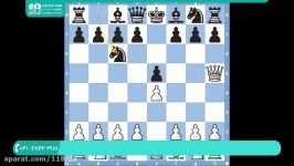 آموزش شطرنج  شطرنج مبتدی  تکنیک های شطرنج هشت اشتباه مرگ بار در شطرنج