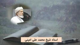 شیخ محمد علی امینی حفظه الله قرآن