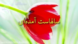 کلیپ تبریک بازگشت آزادگان عزیز به وطن دوست داشتنی مان ایران زنده باد وطنم ایران