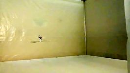 پیشرفت روبات سایکوپتر مرغ مگس خوار ویدئوی قدیم