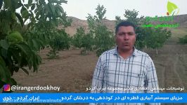 ایران گردو  مزایای استفاده سیستم آبیاری قطره ای برای درختان گردو  گردو