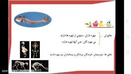 علوم تجربی سوم  فصل سیزدهم هر کدام جای خود 2